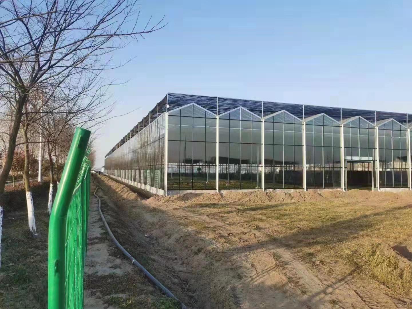 b45150666b41a0682bace28b47286b