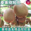 Dropshipping Mudas de Kiwi Qinmei para Plantio em Jardins e Vasos no Norte e Sul, Mudas Enxertadas de Kiwi Coração Verde