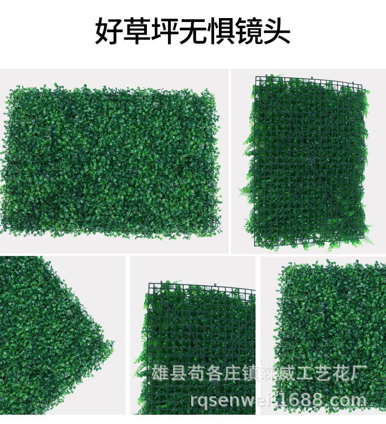 加密米兰草_03.jpg