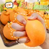 Juguete para Aliviar el Estrés Juguete Naranja Feo Squishy Naranja Alivio del Estrés Fruta Realista para Niños Gadget para Apretar la Mano Alivio del Estrés Pequeño Producto Transfronterizo