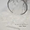 Cuentas de Arroz Domésticas Vidrio Transparente Mate Material de Bordado Pulsera Collar Pendientes Flor de Cuenta Material Hecho a Mano DIY Cuentas