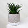 Maceta Pequeña Personalizada de Cemento para Suculentas Maceta Escandinava Maceta de Pie para Piso Maceta con Planta Verde de Interior Maceta Creativa