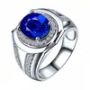 Deseo Venta Caliente Transfronteriza Anillo de Zafiro Incrustado de Diamantes Amazon Chapado en Platino Anillo con Forma de Huevo de Diamante Azul Venta al por Mayor