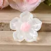 Serie de Flores Luminosas Material de Resina DIY Accesorios Pinzas para el Cabello Adornos para el Cabello Imanes para Refrigerador Flores Coloridas Decorativas de Doble Capa Venta al por Mayor