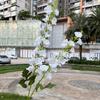 Nueva simulación flor campanilla delphinium comercio exterior 2 horquillas flor Qianxun guía de camino de boda decoración de techo flor artificial venta al por mayor