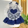 Vestido Princesa Pet para Primavera e Verão, Saia Jeans com Suspensório para Cães e Gatos, Roupa Fina para Cães Pequenos e Médios, Roupas para Cachorro Teddy, Acessórios para Gatos