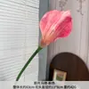 Flor Artificial Lírio-de-Calla Filme de Haste Única Toque de Alto Padrão Arranjo de Flores para Sala de Estar Mesa de Jantar Adereço Fotográfico Decoração de Casamento Flor Falsa