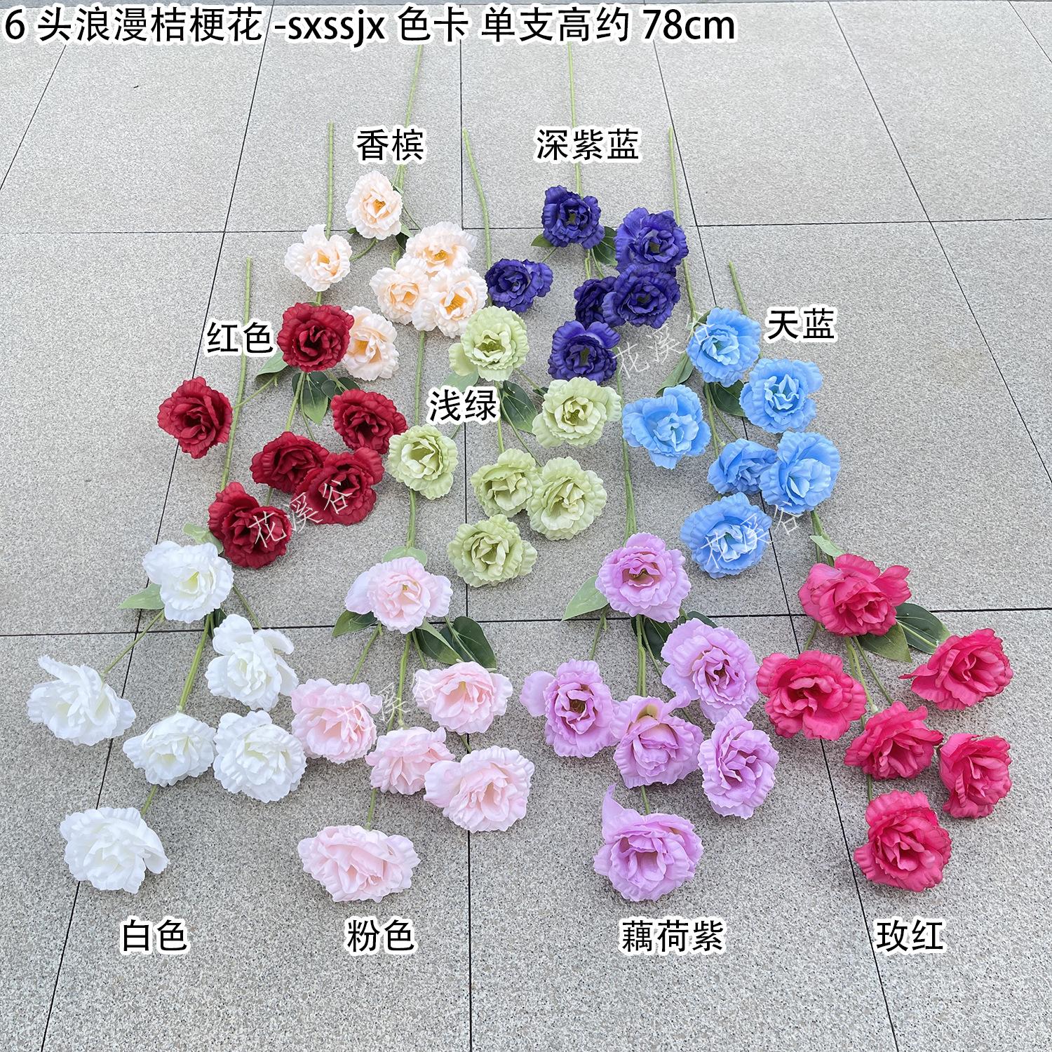 6头浪漫桔梗花-sxssjx 色卡 花溪谷.jpg