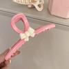Pinza grande para el pelo para niña, accesorio para la parte trasera de la cabeza, con diseño de tiburón de alta gama, para mujer