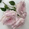 5 Peças de Tecido de Seda Thai Queen Rose Flor Artificial Decoração de Casamento Flor Planta Verde Artificial Mobiliário Doméstico Guia de Estrada Atacado