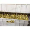 Equipo para germinar brotes de soja y frijol mungo Máquina automática de germinación con temperatura y humedad constantes Máquina para germinar soja de mercado de agricultores