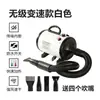 Secador de Cabelo para Gatos e Cachorros Padrão Americano, Britânico e Europeu 110V220V Secador de Cabelo Doméstico Ajuste de Velocidade Contínuo Soprador de Água para Pets