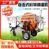 Novo modelo de máquina aspersora de irrigação agrícola com carretel tipo guincho, móvel, recolhimento automático, autopropulsado para irrigação de fazenda