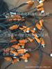 *Alemán Lumberg Rsu 12-Asb 8/Led 5-4-331/10m