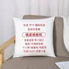 Almohada con logo personalizado a mapa promoción empresarial personalizada actividades regalo diy funda de almohada creativa exclusiva venta al por mayor