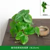 Parede de Plantas Plástico Parede de Plantas Verdes Sala de Estar Flor Artificial Cabeça de Porta Varanda Parede de Fundo Gramado Artificial Decoração de Grama