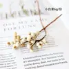 Materiais de Flores Secas Galhos Bolotas Pinhas Algodão Vagens de Lótus Jardim de Infância Artesanato Velas Aromáticas Fatias Decoração Adereços para Fotos
