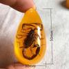Colgante de Ámbar con Espécimen de Insecto Real Ámbar Insecto Gota de Agua con Forma de Insecto Escorpión Mariposa Abeja Flor Ámbar Transmisión en Vivo Venta al por Mayor