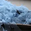 Encaje de Volantes Plisado de Acordeón de una Sola Capa de 5 cm de Ancho Cuello Puños para Vestido Lolita Accesorios de Ropa Hechos a Mano DIY