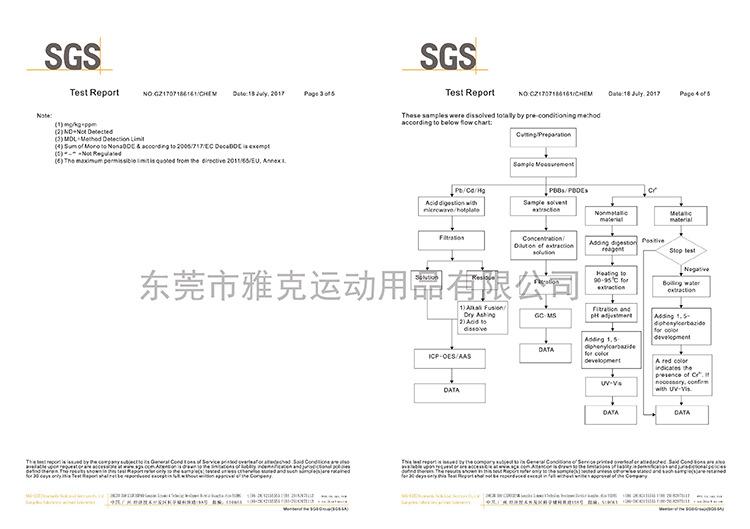 SGS-01.jpg