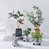 Bandeja de resina redonda simple de estilo chino con rueda universal móvil Soporte base para maceta de flores Soporte de jardinería de plástico