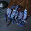 Turmalina Negra Galvanizada Natural Plumas de Cola de Color Pavo Real Muestra de Enseñanza de Mineral de Turmalina Negra Racimo de Cristales Al por Mayor
