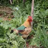 Delantal de silla de montar para gallinas transfronterizas, protección de plumas, protector de espalda, delantal de silla de montar para gallinas, chaqueta de doble capa