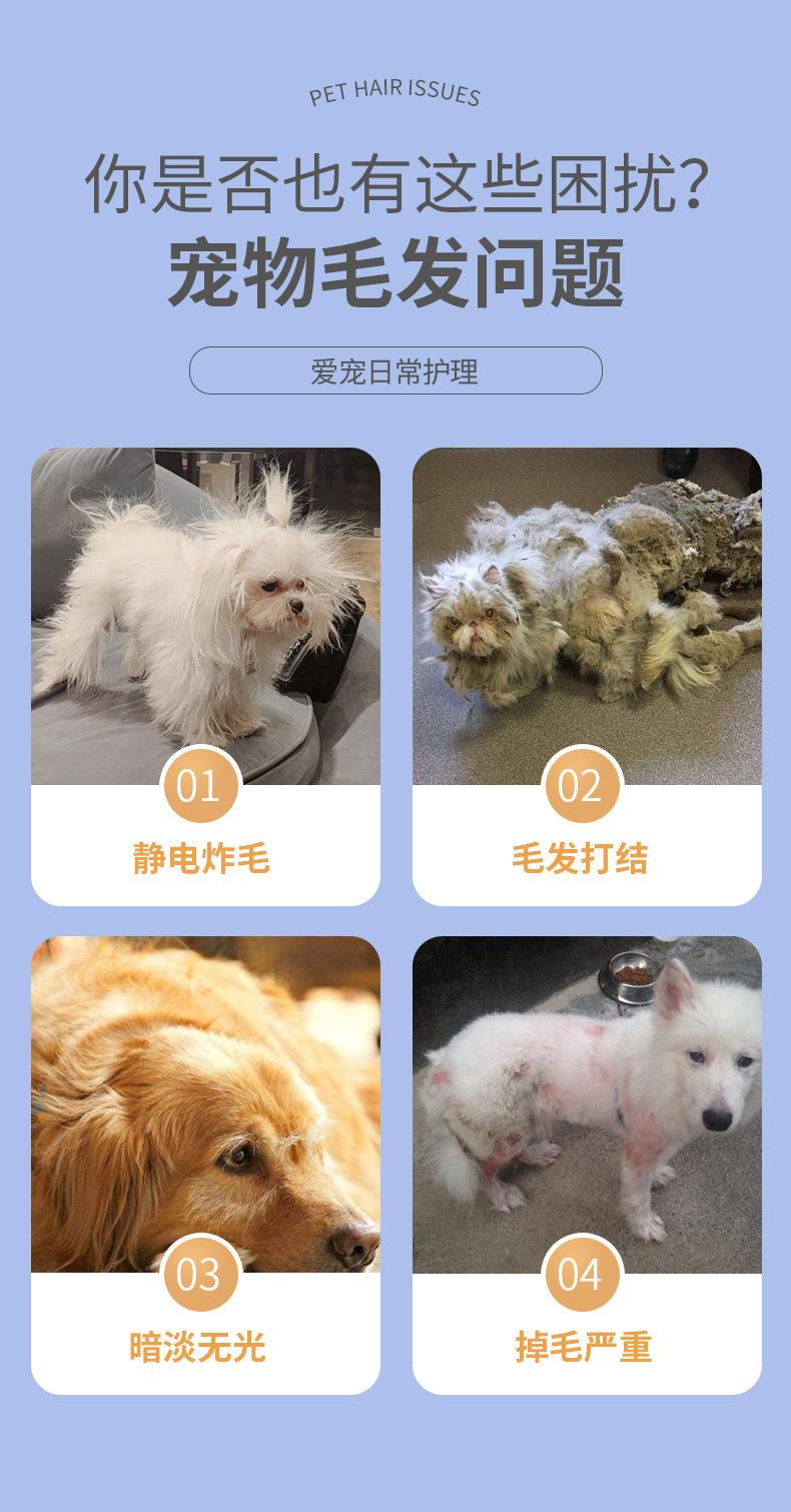 宠物护毛喷剂_03.jpg
