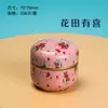 Mini Lata de Té Verde/Té Negro Portátil Pequeña Lata de Té de Hierro Lata de Metal Lata para Empaque de Té de Flores
