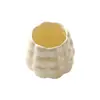 Juego de Tenedores para Fruta de Lujo de Cerámica y Acero Inoxidable Cuidadosamente Seleccionado con Frasco de Almacenamiento, Alto Valor Estético para Uso Doméstico, Adecuado para Postres y Brochetas de Fruta