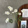 Flores Artificiales con 5 Ramas y Múltiples Cabezas, Rosas Pequeñas para Arreglos Florales de Salón de Bodas, Arreglos Florales Decorativos, Flores de Seda al por Mayor, Transfronterizo