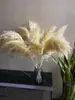 Amazon Buquê de Flores de Junco Nórdico DIY Flores Secas de Yunnan Atacado Buquê de Flores Secas Artesanal Flores Preservadas