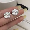 Brincos Elegantes, de Luxo Leve, de Nicho de Alto Padrão, com Temperamento, Design Simples Personalizado, Coleção de Brincos de Prata Fosca