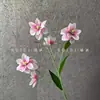 5 Flores de Magnolia Artificiales para Arreglo Floral en Salón de Banquetes de Boda, Decoración para Fotografía al Aire Libre, Venta al por Mayor de Flores Artificiales Transfronteriza, Ecológico