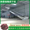 Equipamento de Secagem de Mirtilo Seco Máquina de Secagem de Frutas de Mirtilo e Mirtilo Branco em Larga Escala Rede com Equipamento de Secagem de Mirtilos