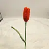 Ramo Hecho a Mano Tulipán Cerrado Tejido Terminado Flor de Lana Ganchillo Tejido Flor Artificial Tulipán Flor Tejida