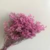 Ramo de flores eternas de hierba de cristal, arreglo floral, ramo de flores con material DIY, accesorios para fotos, flor para aromaterapia al por mayor