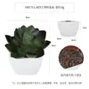 Más de 100 Tipos de Combinaciones de Plantas Suculentas Artificiales en Maceta Mini, Ventas Transfronterizas Populares, Estilo Sencillo Decoración del Hogar Flores Artificiales y Plantas Verdes, Directo de la Fábrica Fuente