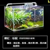 Aquário de Vidro Ultra-Branco Espesso Retangular Pequeno e Grande Paisagismo de Sala de Estar Aquário Plantas Aquáticas Tanque de Tartaruga Mai Taibao