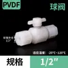 Conector de Manguera Resistente a Ácidos Fuertes para Válvula de Bola de PVDF, Conector de Compresión, Conector Recto Roscado de PVDF