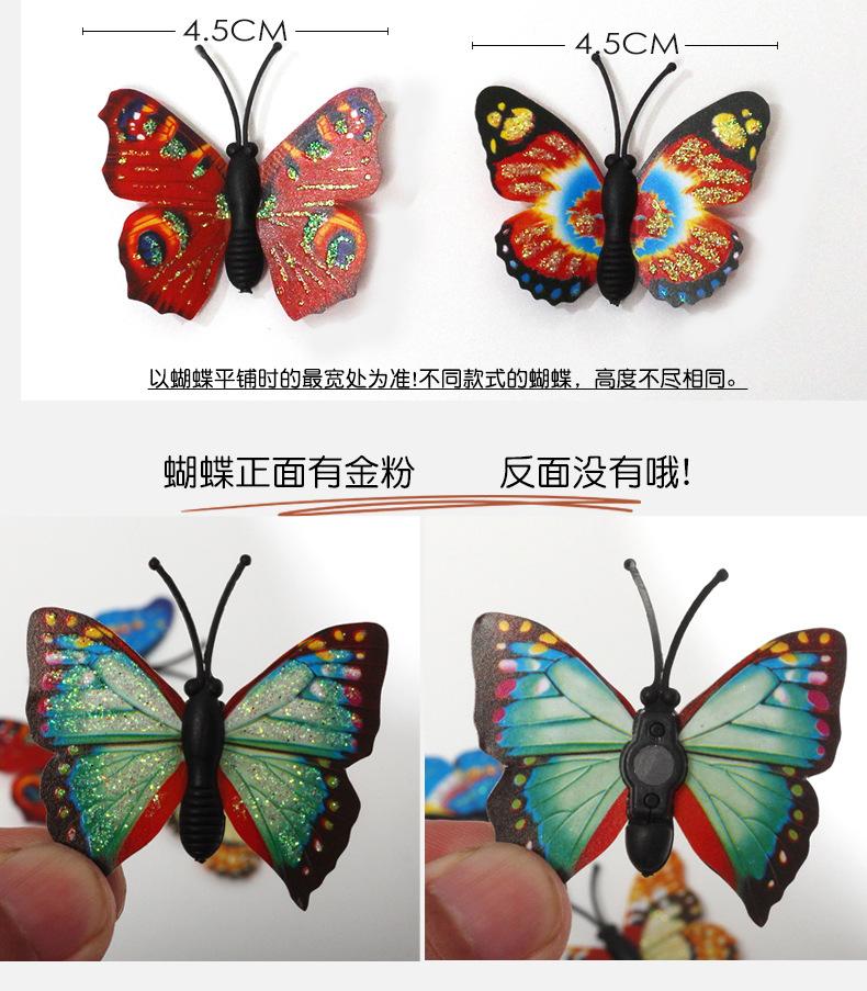 闪光蝴蝶详情_03.jpg