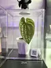 Caixa de Criação em Acrílico, Caixa Totalmente Transparente à Prova de Vento e Isolada, Caixa de Viveiro para Plantas Tropicais e Bonsai, Armário Doméstico para Aquecimento de Plantas