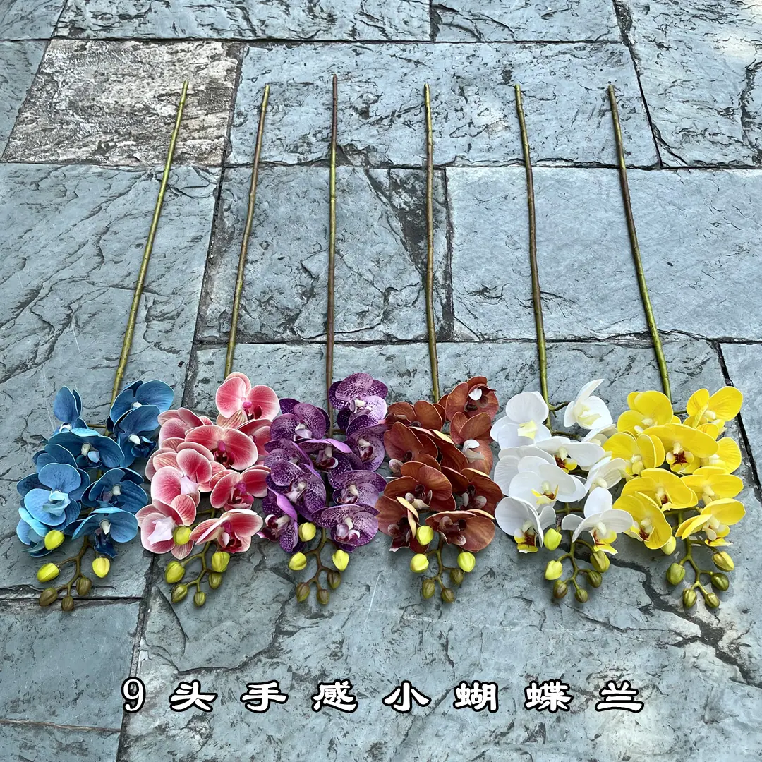 微信图片_20210724103102_副本.jpg