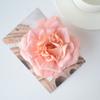 Cabeça de flor de rosa selvagem flor artificial flor de seda flor falsa estilo europeu retro outono faça você mesmo flor de casamento artesanal parede