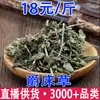 Venta al por mayor y Dropshipping de Verbena Officinalis, Verbena, Hierba Verde Pequeña, Hierba Hexagonal, Gypsophila, y Lenteja de Agua Grande