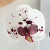 Cabeças de Flores de Orquídea Borboleta para Filme, Acessórios para Parede de Flores Artificiais, Peças de Flores Artesanais DIY, Pétalas, Presilhas de Cabelo, Enfeites de Cabelo, Lembrancinhas