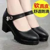 Zapatos de plataforma de tacón grueso de plataforma de primavera y verano 2024 zapatos profesionales de una sola capa moda zapatos de trabajo modelo femenino pasarela Cheongsam tacones altos