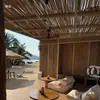 Tallo de Caña Rama de Caña Hecho a Mano Decoración de Techo para Hotel Restaurante Caña Tejida Cortina de Caña