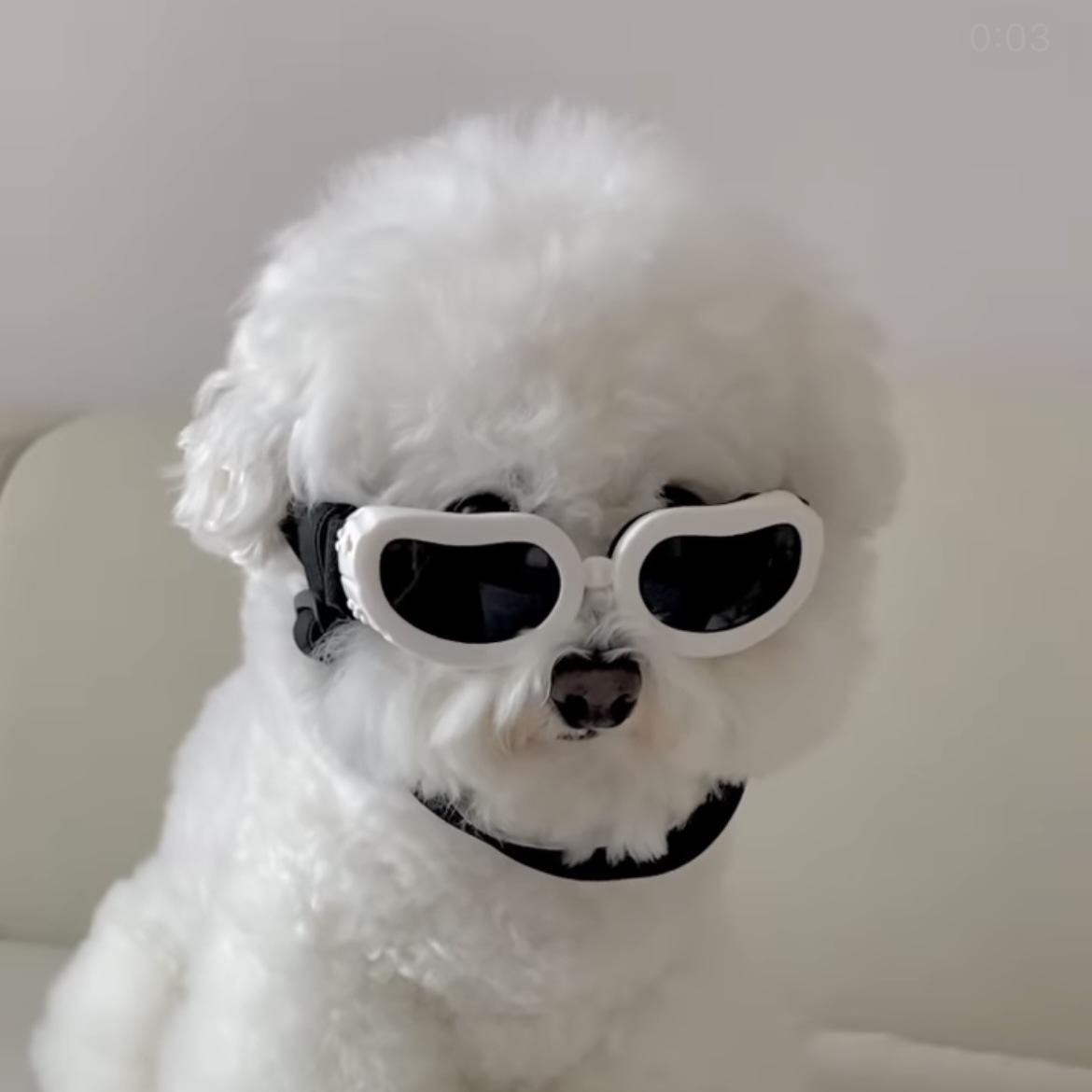 d69127d91c51951a7eebca135a99a5