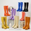 Botas de Couro Europeias e Americanas Tamanho 35-48, Botas de Cano Alto Outono e Inverno, Botas Femininas Multicor de Tamanho Grande para Vendas Transfronteiriças, Bico Redondo em Couro Envernizado, Zíper Lateral, Salto Alto